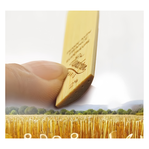 JELO Vandoren Sib BB <span class=keywords><strong>Soprano</strong></span> <span class=keywords><strong>Saxophone</strong></span> Reeds 10パックアクセサリー管楽器マウスピース用1st Sopranos <span class=keywords><strong>Saxophone</strong></span> Reeds - Product Image 5