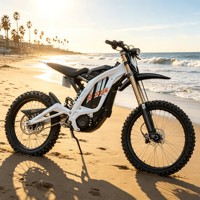 Vélo Électrique Sur Ron Light Bee X Homologué pour la Route avec Moteur Central - Vente en Gros