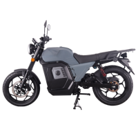 Vélo électrique vintage pour adultes, type moto de rue, NITRO, puissance nominale 3000W, autonomie 80km, avec marche arrière