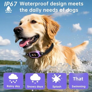 Collares Inteligentes Recargables e Impermeables para Perros 2026, con Pantalla a Color, Dispositivo de Entrenamiento Automático Antiladridos para Perros - Product Image 3