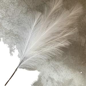 Nuevo Estilo, 7 Ramas de Plumas Artificiales para Decoración de Bodas, Hierba de Pavo Real, Cola de Fénix, Decoración de Simulación de Caña QYY-684, Día de San Valentín, Pascua - Product Image 5