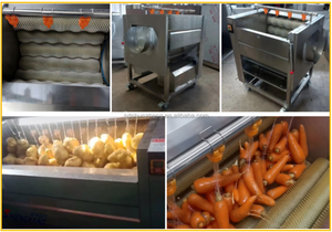 Hochwertige automatische Bürsten wasch schälmaschine für Aloe Vera/Kaktus/Maniok/Ingwer/Karotte/Kartoffel-Wurzelgemüse schäler - Product Image 5