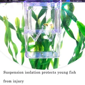 Scatola di isolamento per acquario in acrilico contenitore per incubatore acquario accessori per acquario forniture di pesce - Product Image 5