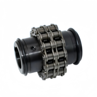 Accouplement de chaîne à rouleaux rigide universel en acier haute résistance SFS OEM pour la transmission des machines minières