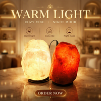 Lampe en sel rose de l'Himalaya de forme naturelle de qualité supérieure, lampe en sel de roche extraite à la main avec cordon à intensité variable, cadeau et ornement pour la maison
