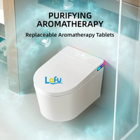 Dissimulé caché réservoir d'eau placard à eau mural Intelligent placard à eau salle de bain en céramique mur suspendu Smart toilette commode