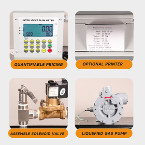 Портативный промышленный/коммерческий комплект насоса <span class=keywords><strong>LPG</strong></span> предохранительный клапан DC12V DC24V AC220V напряжения для заправки бензинового оборудования - Product Image 5
