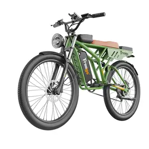 Freego F4 Electric Mountain Bike 1000w Motor Power 48V20AH Battery Electric Bicycle
