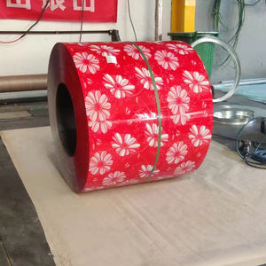 나무 페인트 보조 Pppgi Ppgl 색상 코팅 코일 가격 화이트 롤러 - Product Image 5