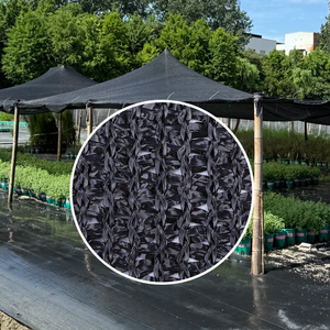 Filet d'ombrage <span class=keywords><strong>pour</strong></span> culture : protège les baies des coups de soleil, assurant une qualité commerciale et la conservation de la douceur des fruits - Product Image 2