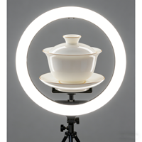 Anneau lumineux LED personnalisé pour vidéo et selfie, avec contrôle filaire 8 pouces, température de couleur réglable, alimentation CA, trépied 14 cm