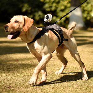 SinSky, recién llegado, accesorios para mascotas, respetuoso con el medio ambiente, correa para cámara deportiva para perros, estabilizador de cámara Go <span class=keywords><strong>Pro</strong></span>, arnés para perros - Product Image 5