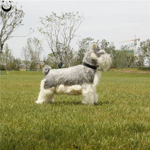 Schnauzer <span class=keywords><strong>miniature</strong></span> de chien mignon de taille réelle pour le cadeau et les accessoires de voiture décor à la maison décoratif intérieur - Product Image 4