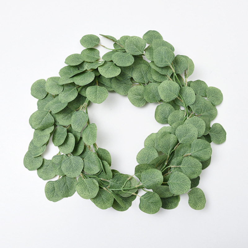 eucalyptus rattan-green