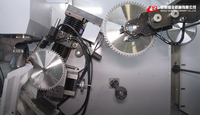 Meuleuse d'angles de meuleuse de lame de scie CNC MQH-300B à 3 axes (angles avant arrière meulés par une machine avec manipulateur de treillis)