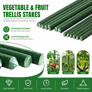 Support de <span class=keywords><strong>treillis</strong></span> d'extérieur pour vigne, fleurs, tomates, haricots, melons, avec revêtement plastique - Product Image 3