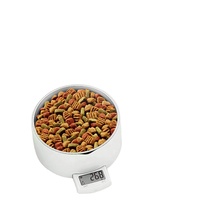 Offre Spéciale chat chien animal de compagnie en acier inoxydable pesé accessoires d'alimentation pour animaux de compagnie bol d'alimentation lente pour eau nourriture bol d'alimentation pour animaux de compagnie