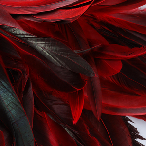 Carnival vương miện long lanh Sequins lông headbands cho phụ nữ Mardi Gras nhảy múa bên <span class=keywords><strong>Headband</strong></span> - Product Image 5