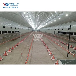 Nhà tiền chế thương mại gia cầm chi phí thấp trang trại nhà prefa kho cho gia cầm cho kết cấu thép Gà nhà - Product Image 3