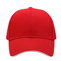 EMPRESA PROMOCIÓN EXTERIOR PERSONALIZADA 6 PANELES GORRAS DE BÉISBOL GOLF GORRAS MES TRUCKER GORRAS SANDWITCH VISOR