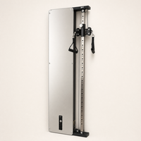 Máquina de entrenamiento funcional de lujo para montaje en pared, 30 kg, acabado en espejo de nogal, máquina compacta con cable para gimnasio en casa