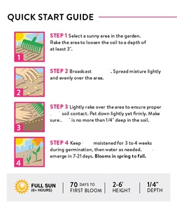 Paquete <span class=keywords><strong>de</strong></span> Semillas <span class=keywords><strong>de</strong></span> Flores Silvestres del Santuario <span class=keywords><strong>de</strong></span> <span class=keywords><strong>las</strong></span> <span class=keywords><strong>Mariposas</strong></span> Monarca, Sin OMG, Atrae <span class=keywords><strong>Mariposas</strong></span> Monarca, 3 Tipos <span class=keywords><strong>de</strong></span> Flores Silvestres para Macetas o Jardineras - Product Image 3