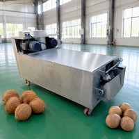 Machine automatique commerciale de décorticage et de polissage de noix de coco brunes, machine à éliminer les fibres de noix de coco
