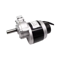 ZY1016L7-S 48V 350W DC Motor gigi disikat, kerangka besi hitam kebisingan rendah tahan air pemotong rumput Magnet permanen wadah besi hitam