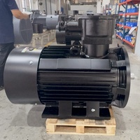 Motor Eléctrico a Prueba de Explosiones para Molino de Aceite, Compresor Centrífugo AC EX, 20/22kw, Kit de Motor Bldc E PMG