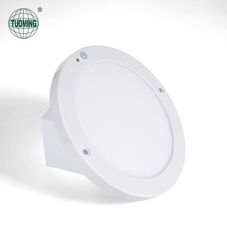 Креативный индивидуальный дизайн для помещений 18 Вт человеческий аварийный светодиодный сенсорный потолочный светильник