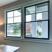 Fenêtres à double battant directes d'usine, fenêtre intérieure avec verre Low-E et cadre en alliage d'aluminium, design vertical coulissant