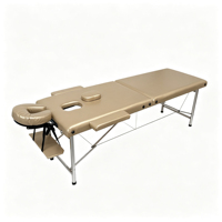 Table de massage portable de luxe à 2 sections avec pieds en acier inoxydable, lit de spa pliable avec appui-tête réglable