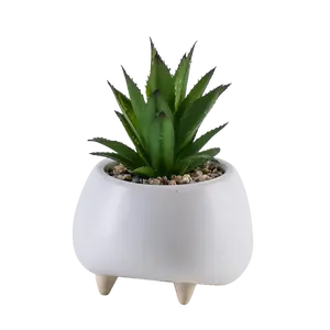 kaktus kunststoff display Suppliers-Einfache Stil Unregelmäßige Form Kunststoff Eingerichtet Künstliche Sukkulenten Kaktus