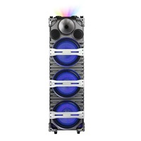 Enceinte portable de 12 pouces pour DJ en extérieur, 120W, avec microphone sans fil