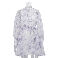 Robe Camisole Tendance Européenne et Américaine pour Femme, Nouvelle Collection 2026, Élégante Robe Longue à Manches Longues, Imprimée et Lacée, Coupe Trapèze