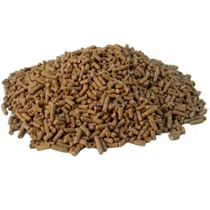 Horse animal feed. Special high quality compound supplement for faster growth available in bulk quantity