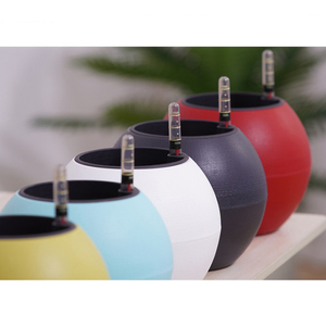 Kit de Cultivo de Bonsái Interior, Perlas de <span class=keywords><strong>Coco</strong></span>, Maceta con Autorriego y Luz LED de Cultivo - Product Image 6