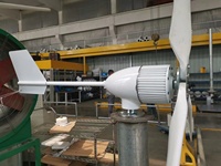 Certification CE Éolienne horizontale 1000W Générateur 1KW Moulin à vent avec pales en fibre de nylon pour usage domestique