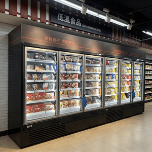 Vetrina Refrigerata con Porta in Vetro, Congelatore Verticale per Alimenti Surgelati, Armadio Commerciale per Mantenimento Freschezza in Supermercati - Product Image 5