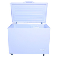 Congélateur coffre solaire autonome 300L DC12V 24V, efficacité énergétique A++, pour camping, marché, zones rurales éloignées, OEM