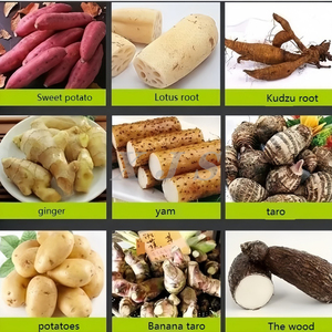 Quy mô nhỏ khoai lang sắn lúa mì ngô sản xuất tinh bột Gạo Máy làm - Product Image 6