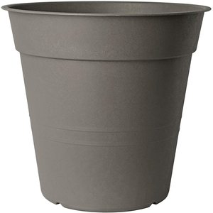 VASO FLY DIAM. 30 CAPUCHINOS - Product Image 1