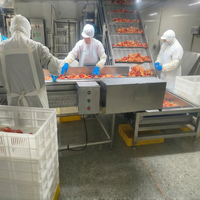 Turnkey volautomatische appelsap productielijn met CIP-reiniging en UHT-sterilisatie