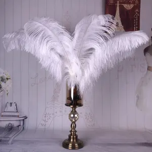 Оптовая продажа 15-60 см натуральное окрашенное белое страусиное перо для карнавального фестиваля, украшения для свадьбы и вечеринки