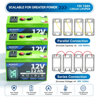 Batterie LiFePO4 12V 24V avec BMS intégré, cycle profond, 153,6 Wh, 6000 cycles, pour solaire, camping-car, marine, hors réseau, onduleur