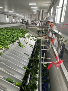 Вкусные маринованные огурцы в банках, маринованные огурцы-гиркины, консервированные овощи, вкусная свежая консервированная еда - Product Image 4