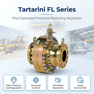 Tartarini FL ชุดนักบินดำเนินการควบคุมก๊าซธรรมชาติ - Product Image 1