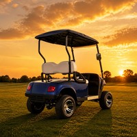 Carrito de Golf Eléctrico de 4 Ruedas, 2 Asientos, Alta Velocidad, 35 km/h, 25% de Inclinación, para Campos de Golf, Resorts y Hoteles