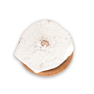 Tisana Naturale Poria con Radice di <span class=keywords><strong>Pino</strong></span> per Aiutare il Sonno, Alleviare lo Stress e Calmare i <span class=keywords><strong>Nervi</strong></span> - Product Image 1