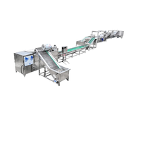 Ce Gecertificeerde Commerciële Kleine Bedrijven Bevroren Frietproductielijn Fabrieksprijs Groente-En Fruitsorteermachine